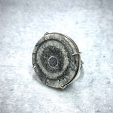 Load image into Gallery viewer, Large Orthoceras Evil Eye Ring

